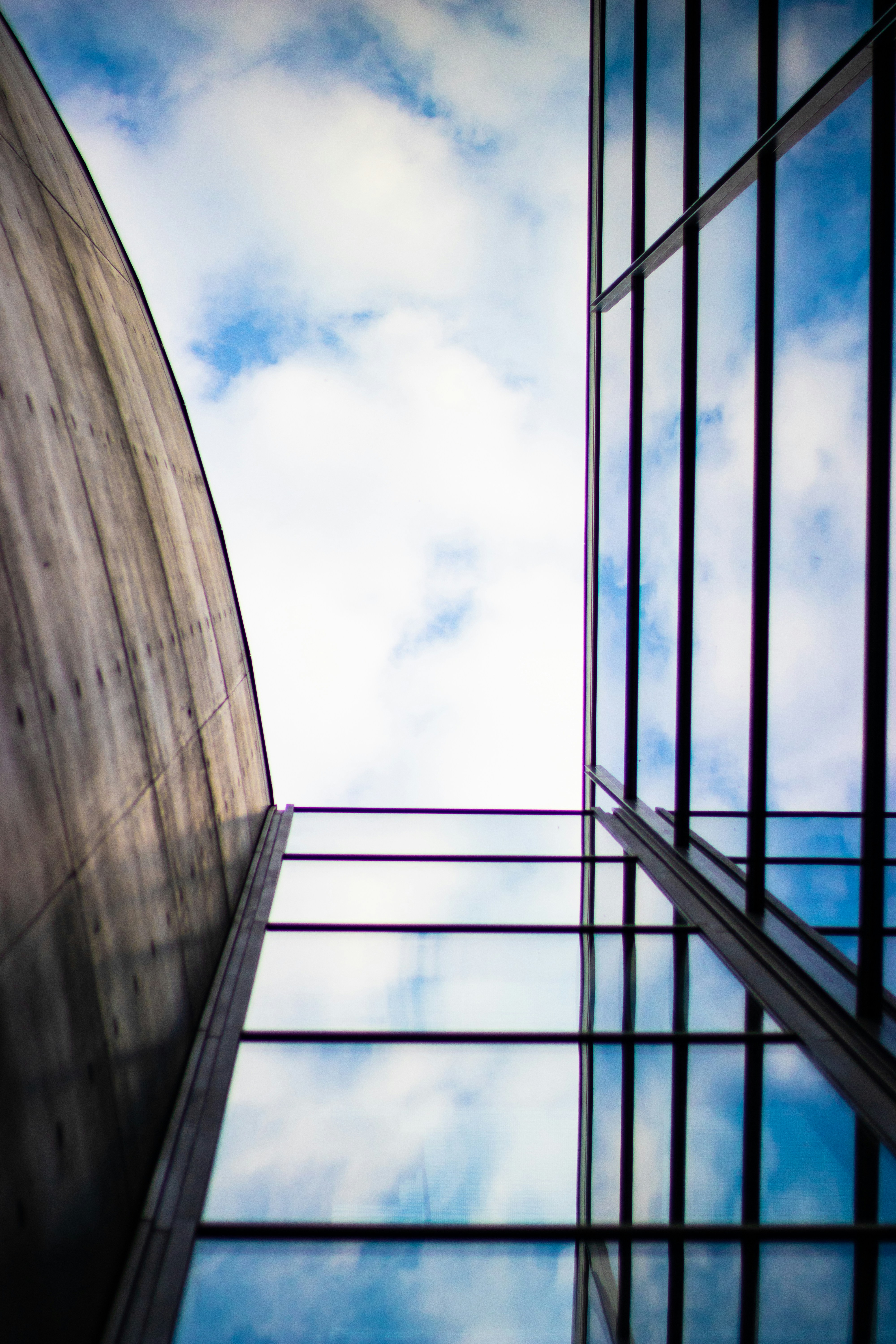 Photo by _king_louie_