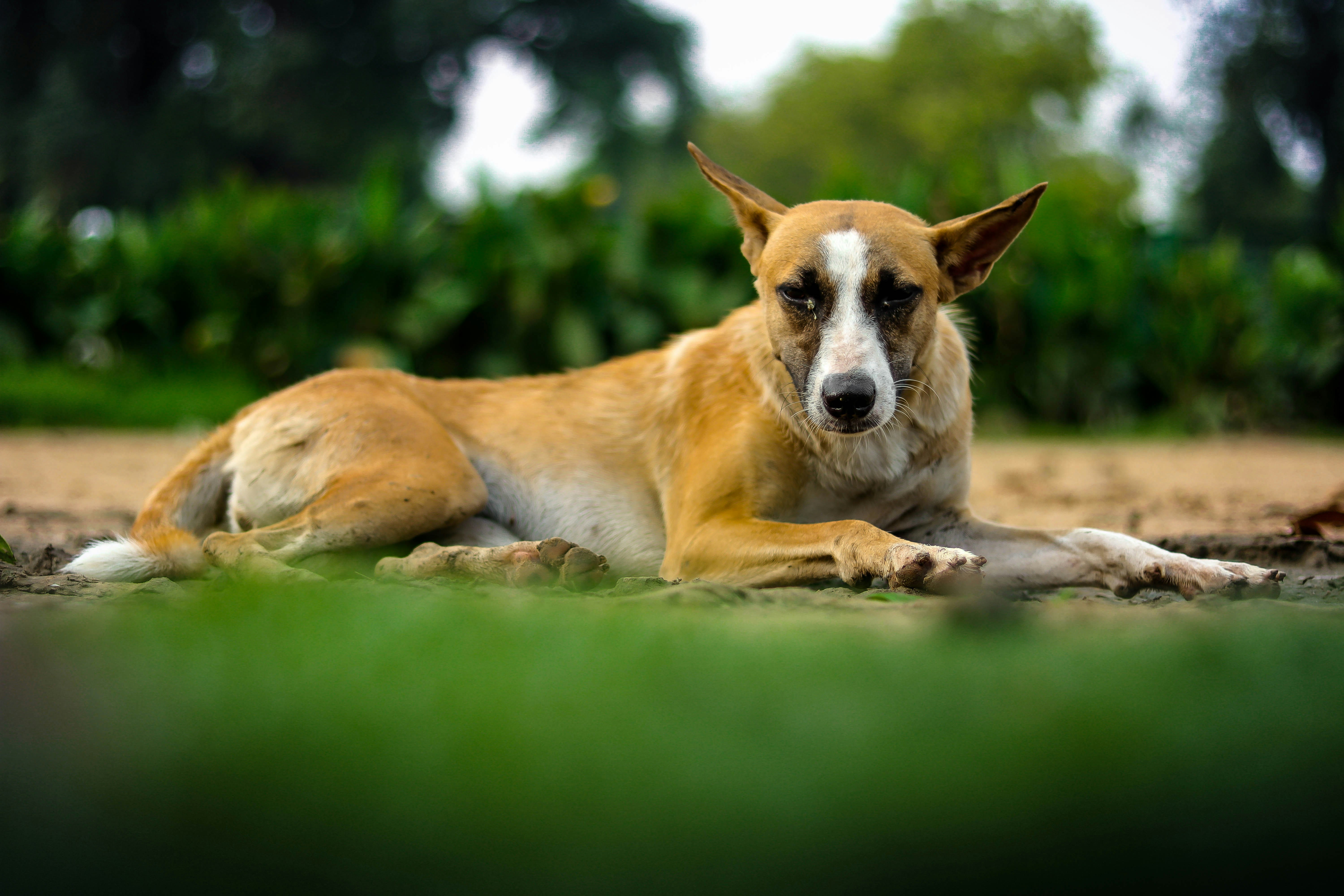 Photo by superman143