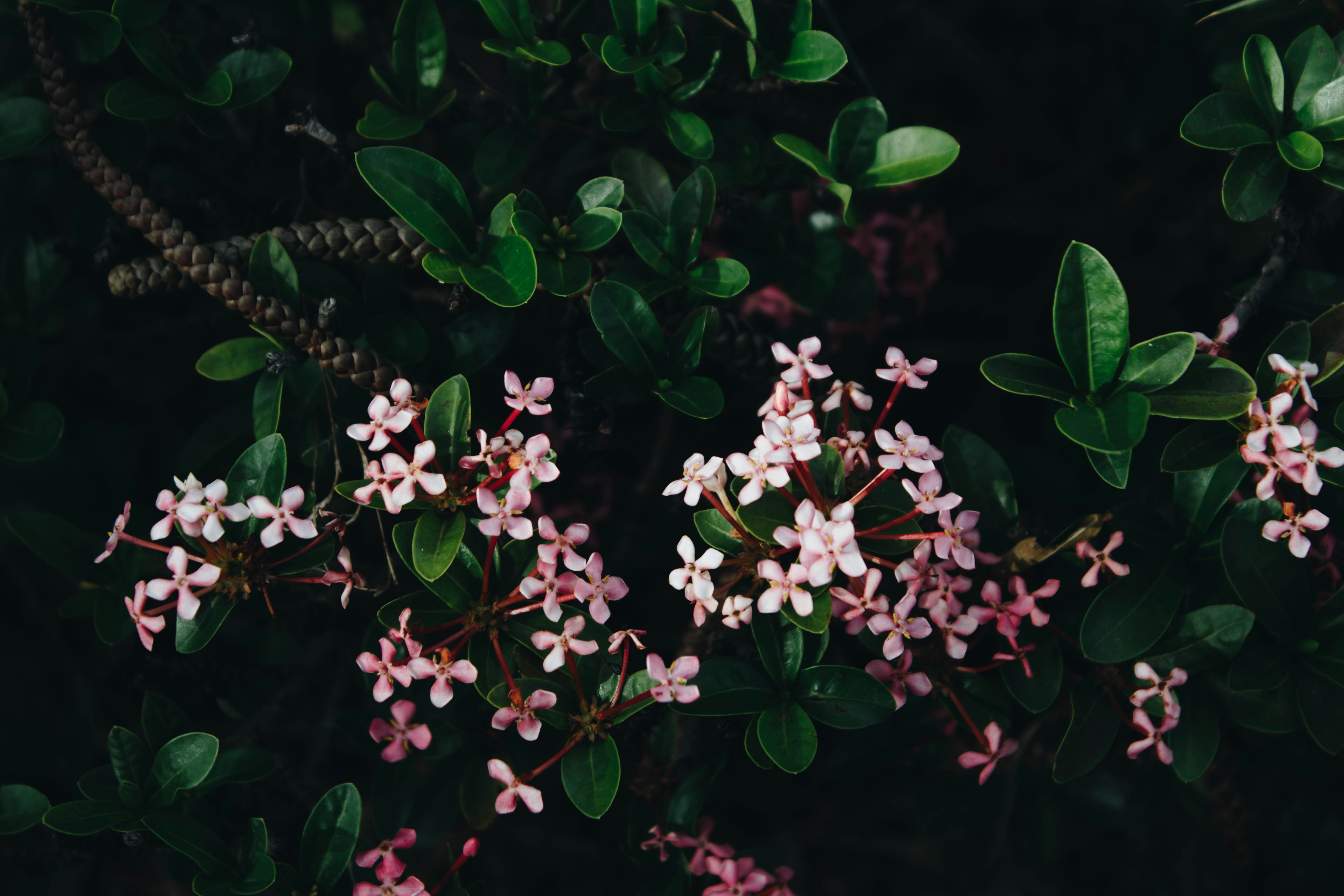 Photo by honeyyanibel