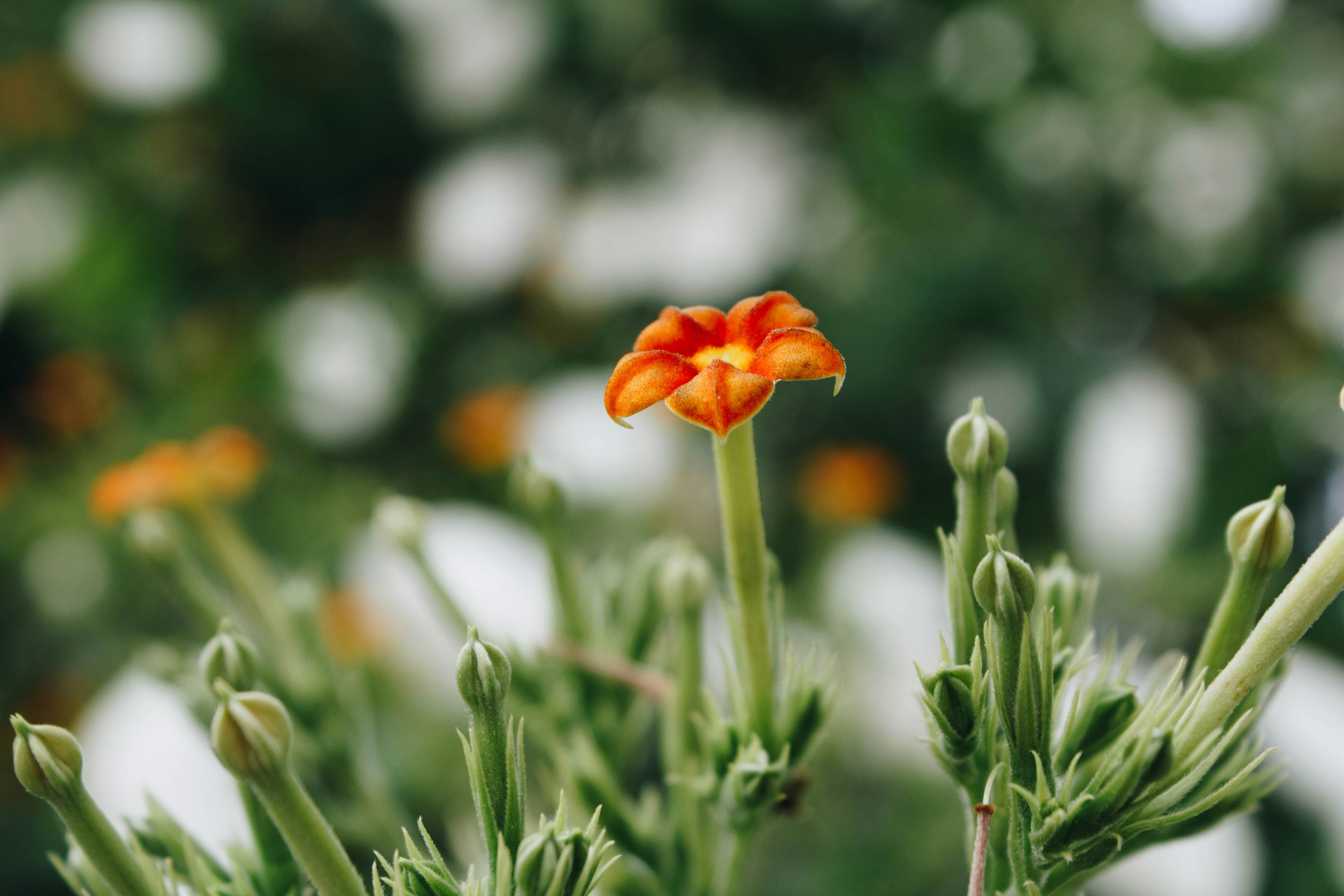 Photo by honeyyanibel