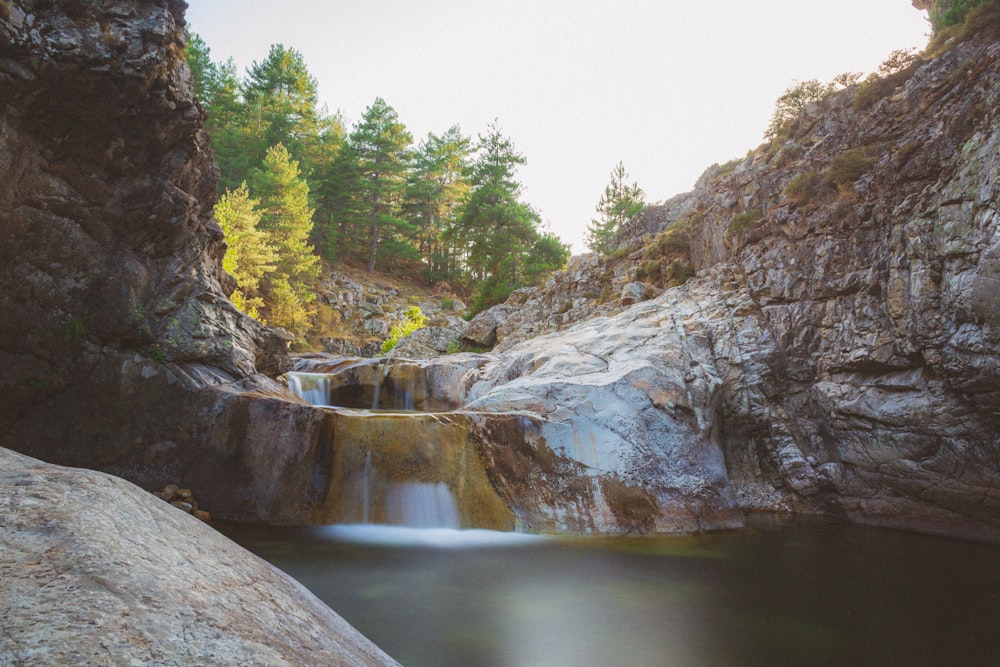 body of water beside trees