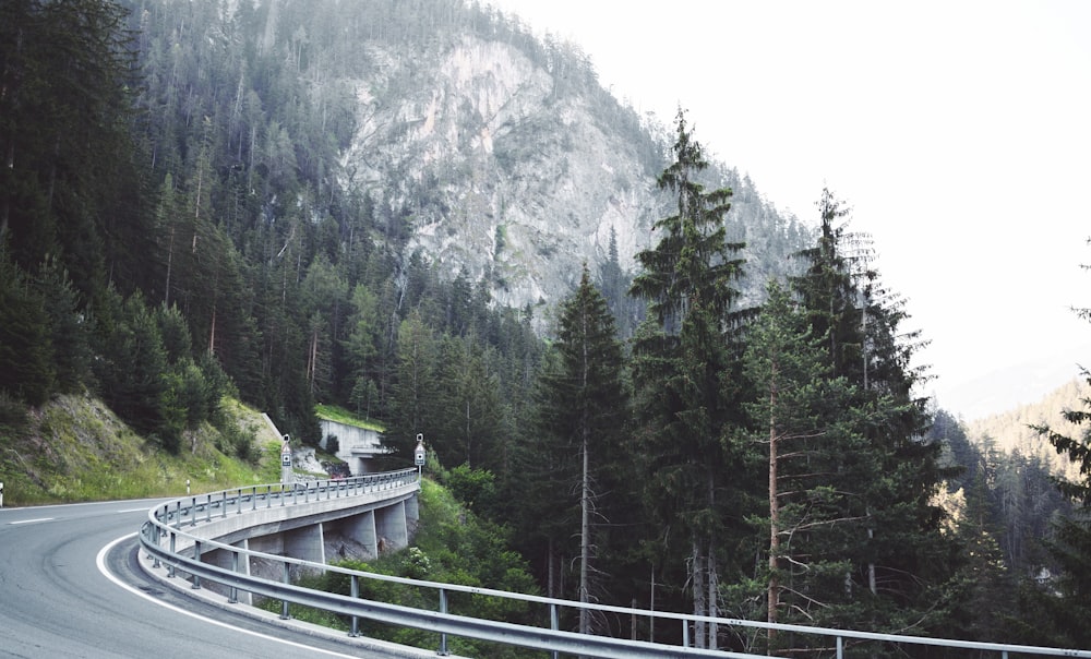 road beside mountain near trees during daytime