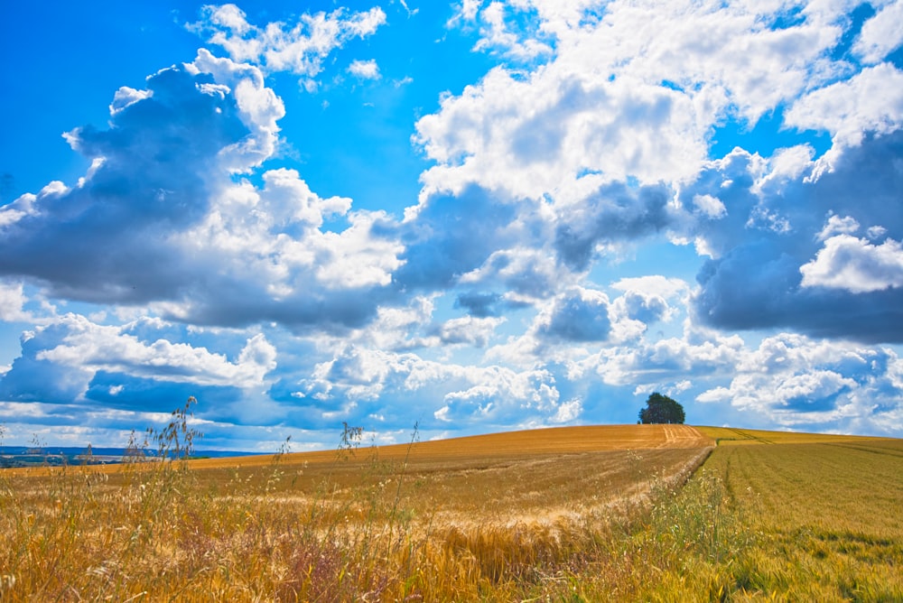 brown field under white and blue cloudy skies