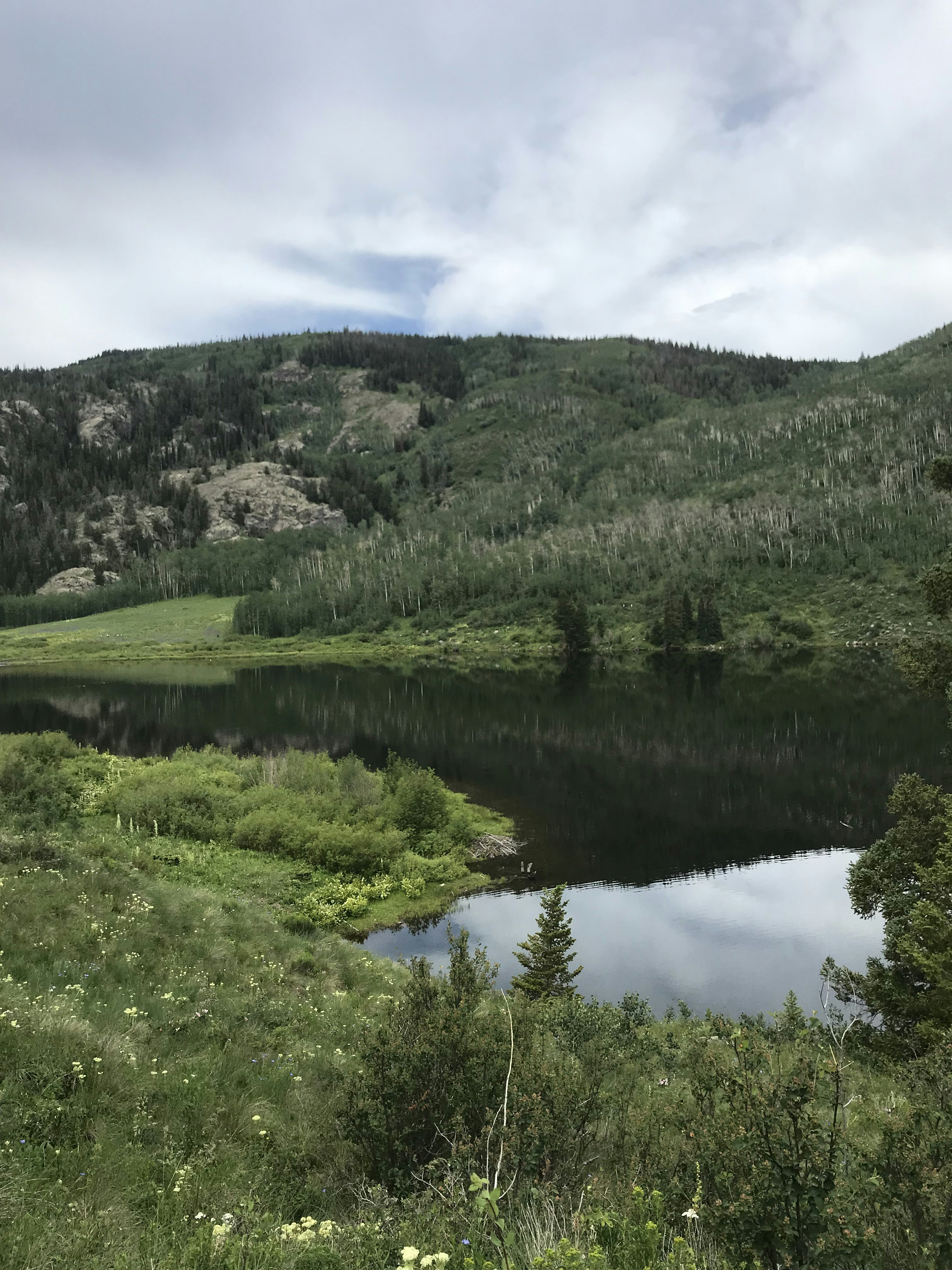 Photo by horselover4226