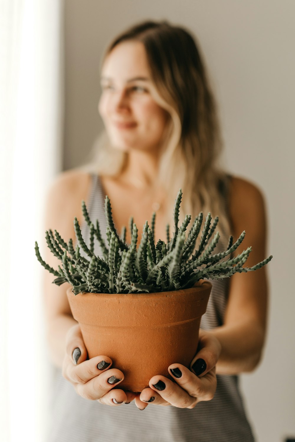 mulher segurando vaso verde planta interior