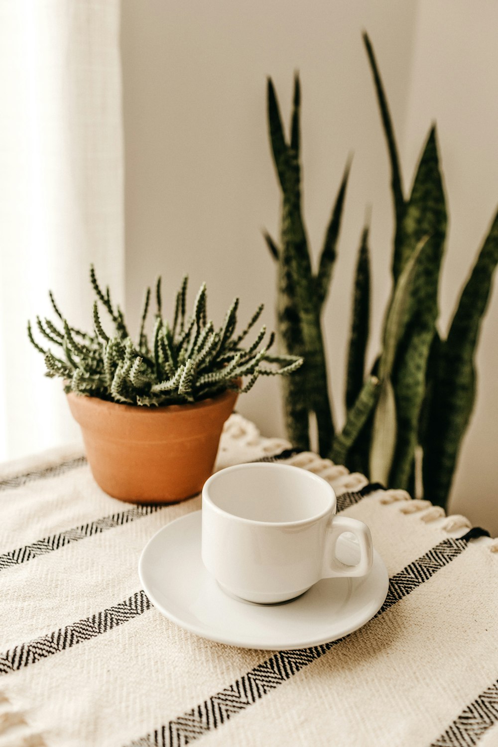 white ceramic cup and saucer