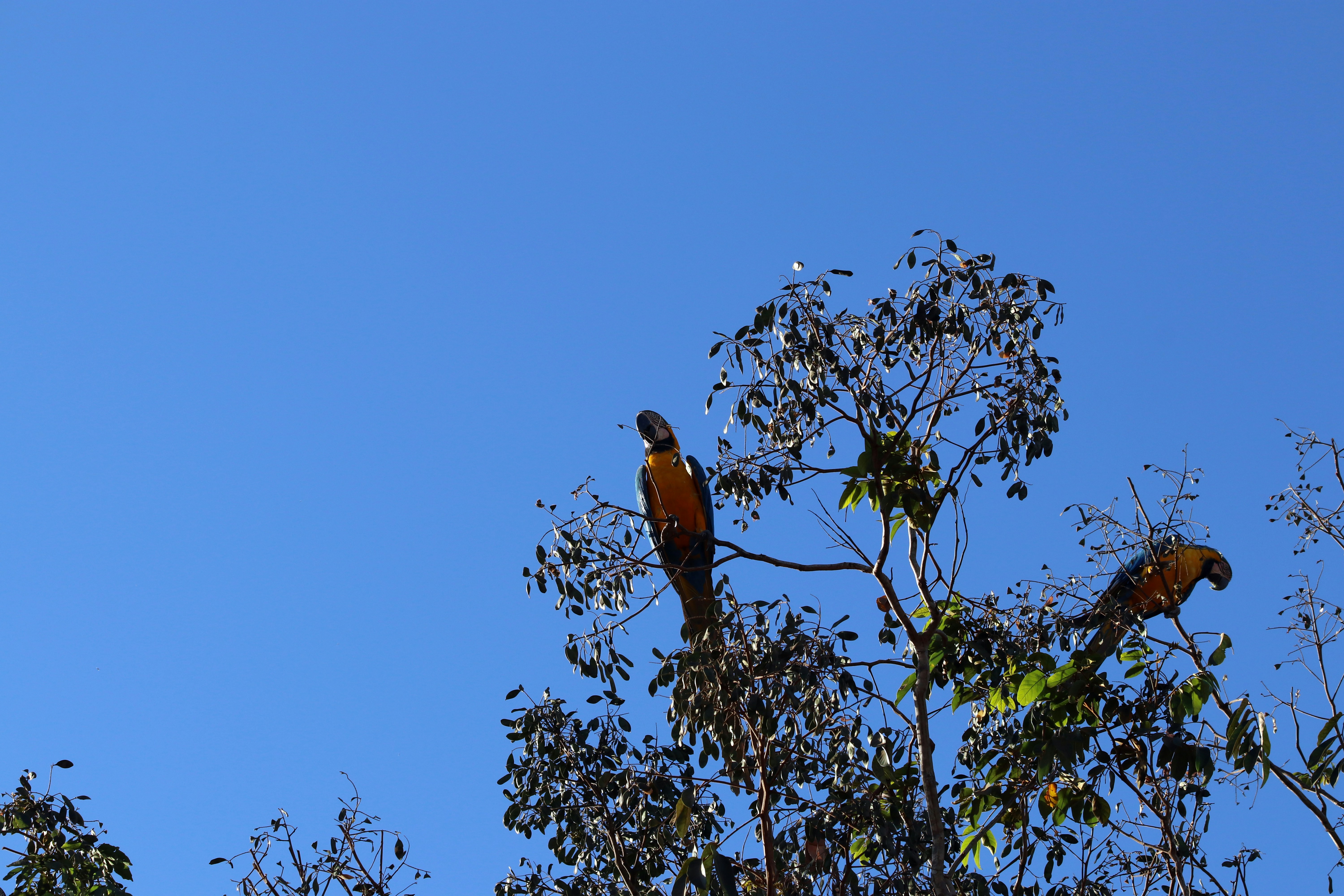 Photo by marcusdallcol