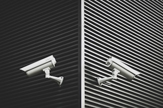 two grey CCTV cameras