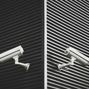 two grey CCTV cameras