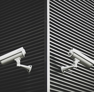 two grey CCTV cameras