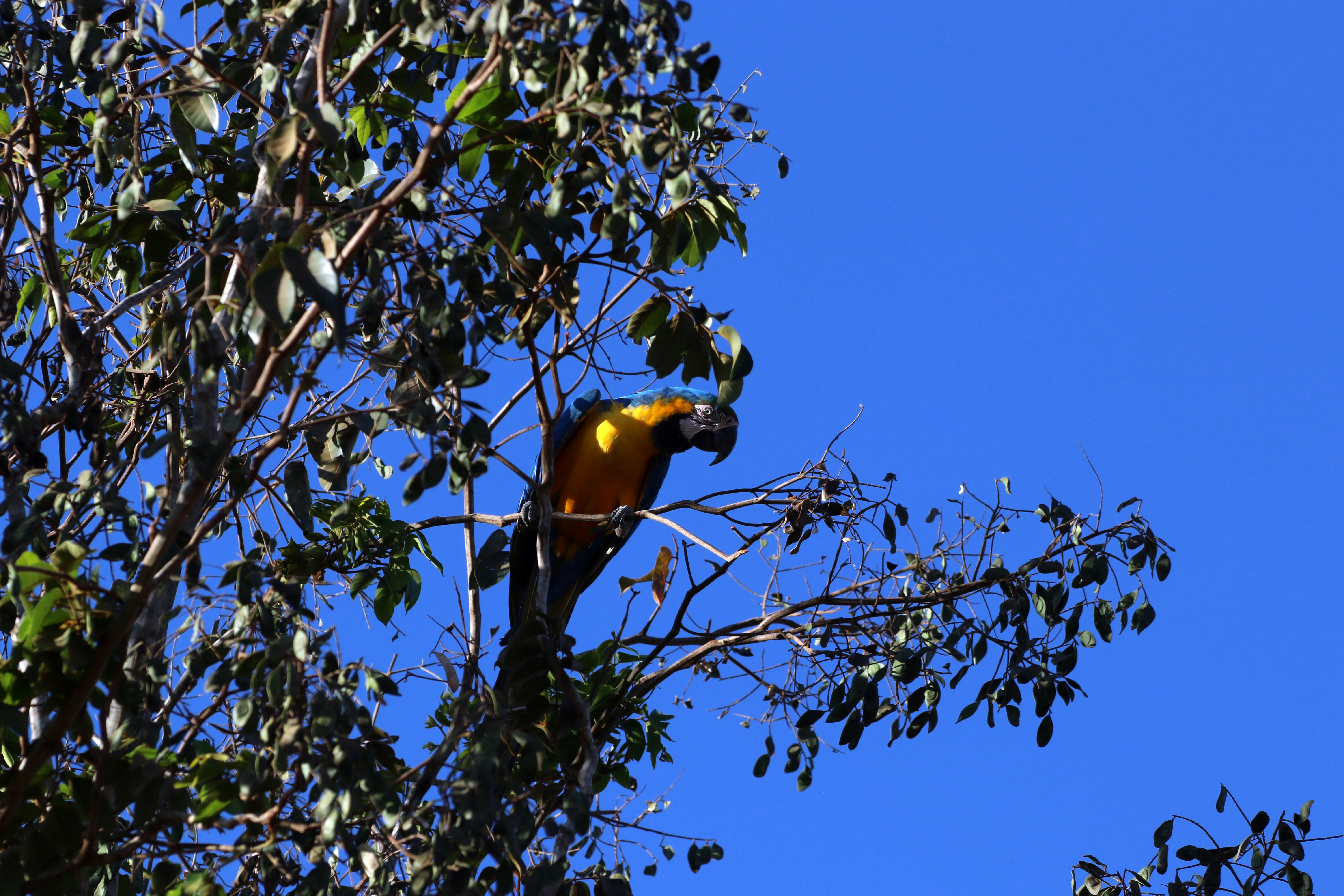 Photo by marcusdallcol