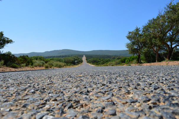 A freshly paved road with smooth black asphalt stretching into the distance under a clear blue sky.