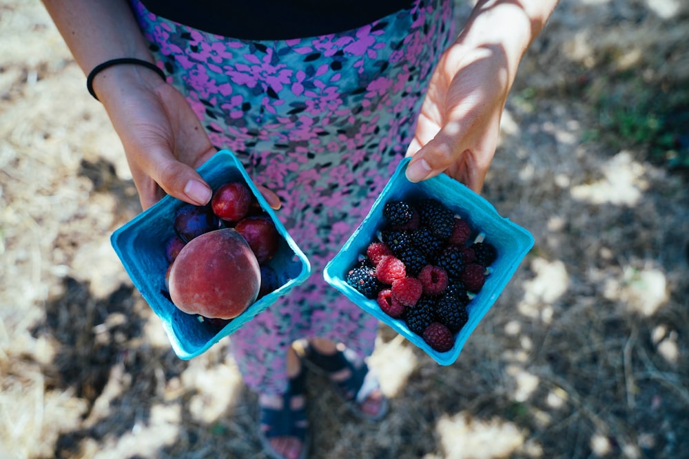딸기, 블랙베리, 천도복숭아 열매