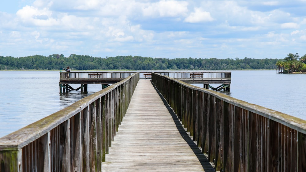 brown wooden bridge towards body of water