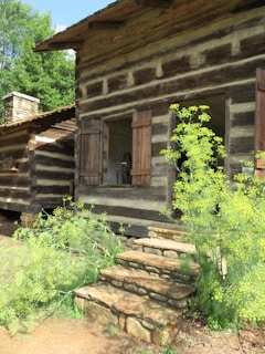 A rustic log cabin surrounded by lush greenery, featuring wooden shutters and a stone staircase leading to the entrance. The structure has a natural, earthy ambiance with rich wooden textures and a quaint charm.