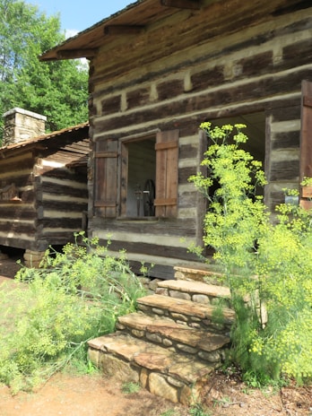 A rustic log cabin surrounded by lush greenery, featuring wooden shutters and a stone staircase leading to the entrance. The structure has a natural, earthy ambiance with rich wooden textures and a quaint charm.