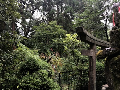 A serene woodland area with dense greenery and tall trees. A traditional stone torii gate partially covered in moss adds an element of cultural heritage. The background consists of lush foliage, and the area is dappled with soft, natural light.