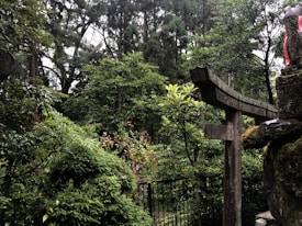 A serene woodland area with dense greenery and tall trees. A traditional stone torii gate partially covered in moss adds an element of cultural heritage. The background consists of lush foliage, and the area is dappled with soft, natural light.