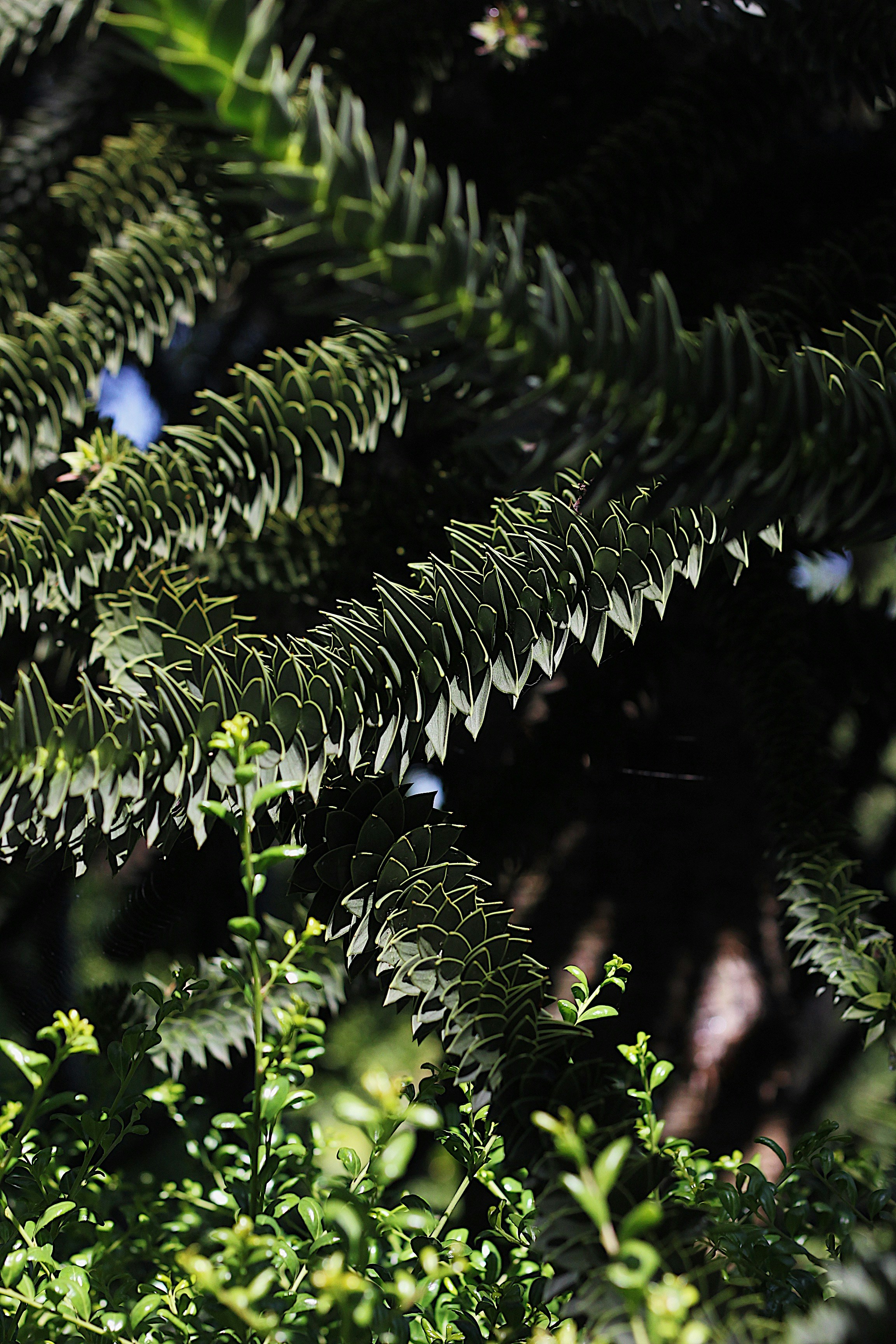 Photo by earthtokarly