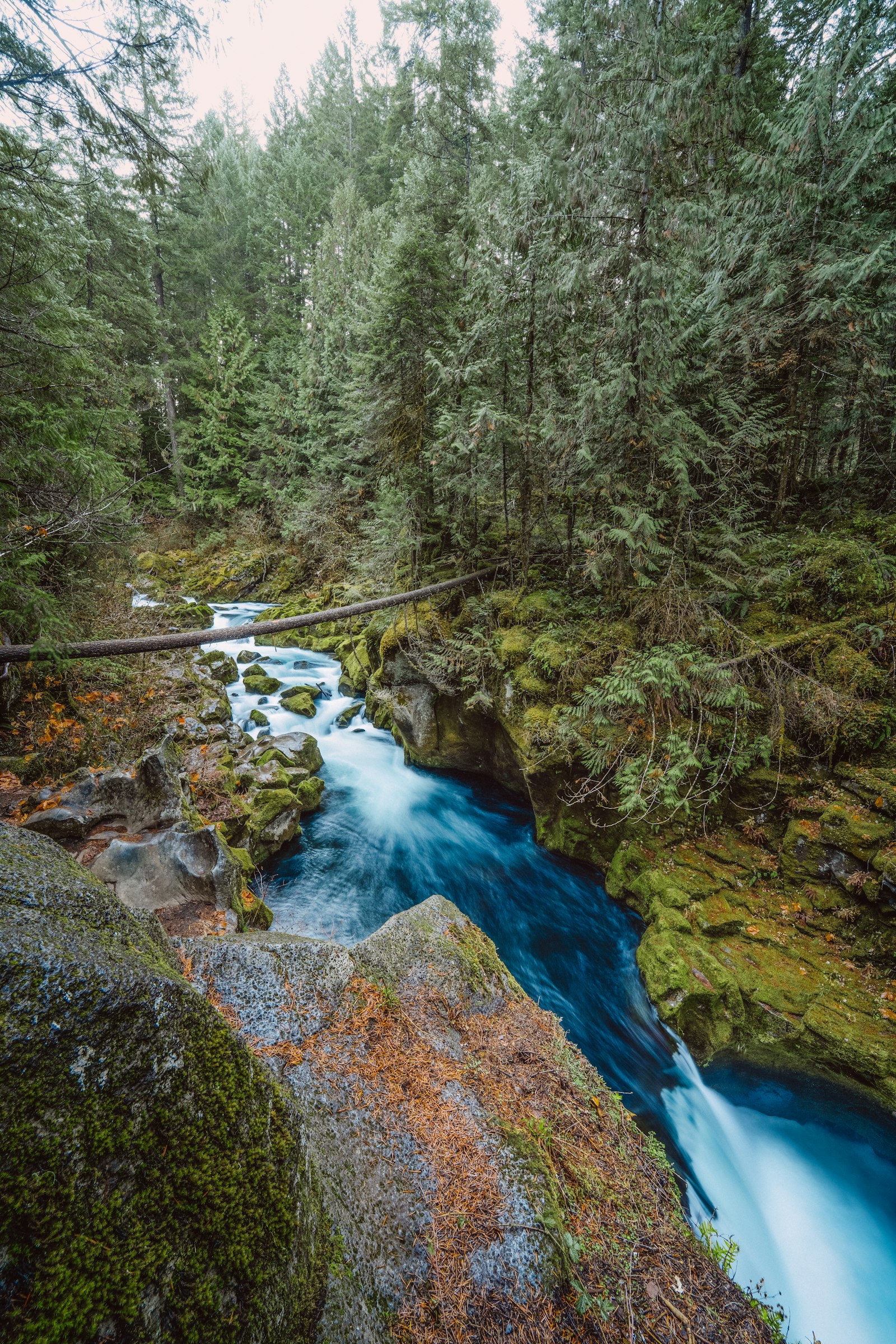 Sony a7R II + Samyang AF 14mm F2.8 FE sample photo. Aerial photography of a photography