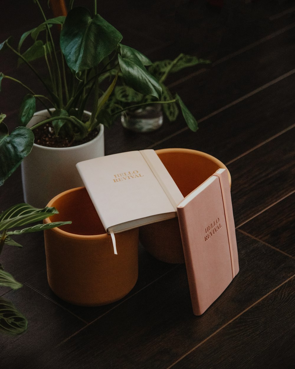 two pink and white covered books