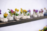 Close-up of colorful ceramic pots arranged on a wooden shelf.