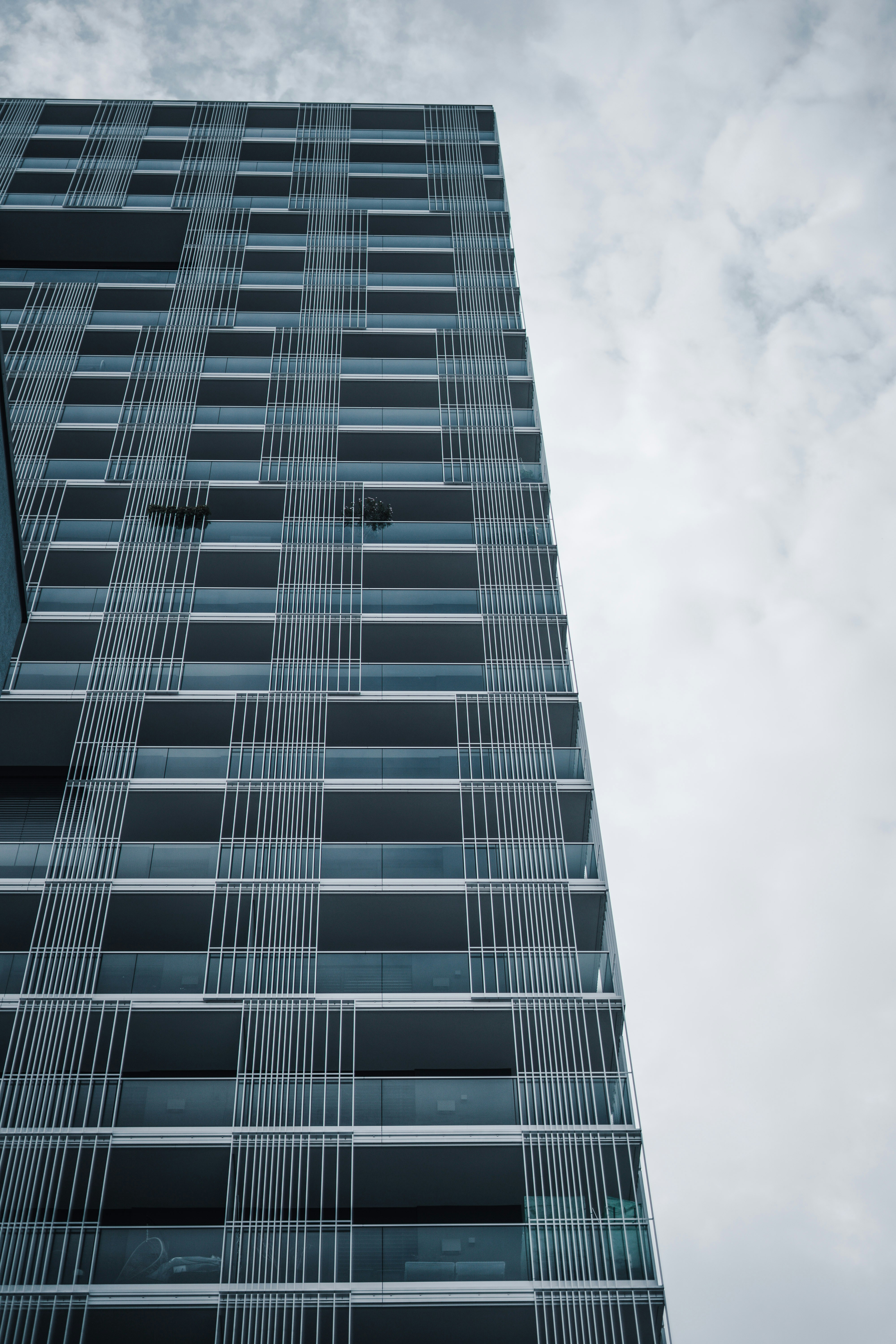 Photo by leoniezettl