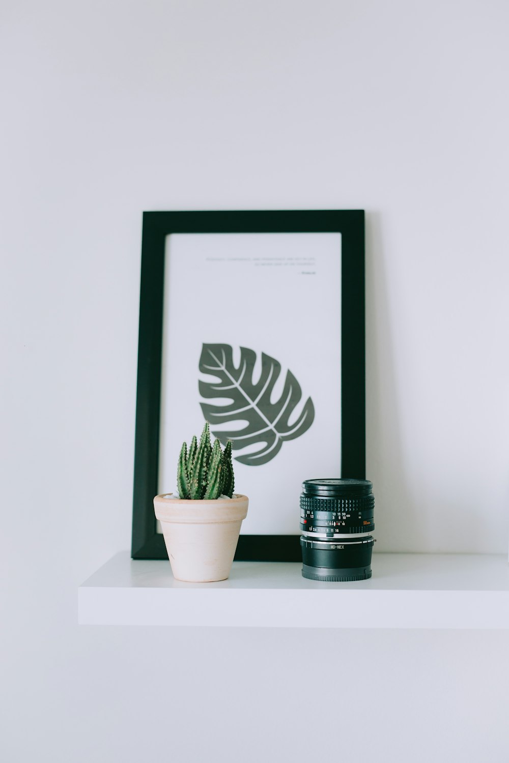 green-leafed plant and black zoom l