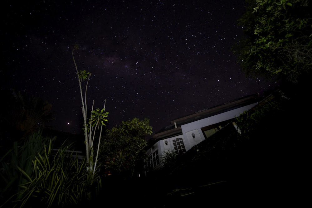 white and black house at night time