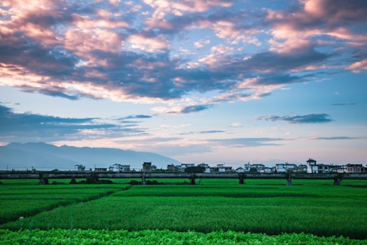 A vast agricultural landscape with lush green fields stretches toward a horizon lined with small traditional houses. Above, the sky is adorned with scattered clouds that capture the warm hues of a setting or rising sun. Distant mountains are visible in the background, adding depth to the scene.