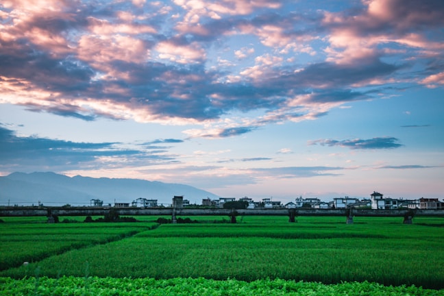 A vast agricultural landscape with lush green fields stretches toward a horizon lined with small traditional houses. Above, the sky is adorned with scattered clouds that capture the warm hues of a setting or rising sun. Distant mountains are visible in the background, adding depth to the scene.