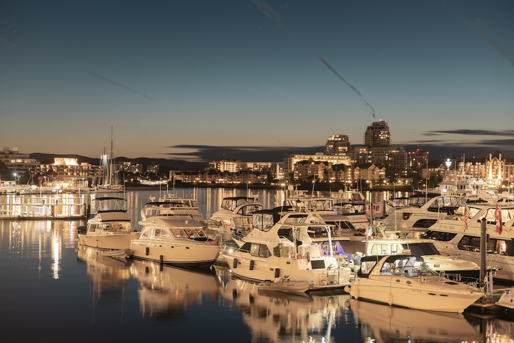 white and black boats on body of water at nighttime