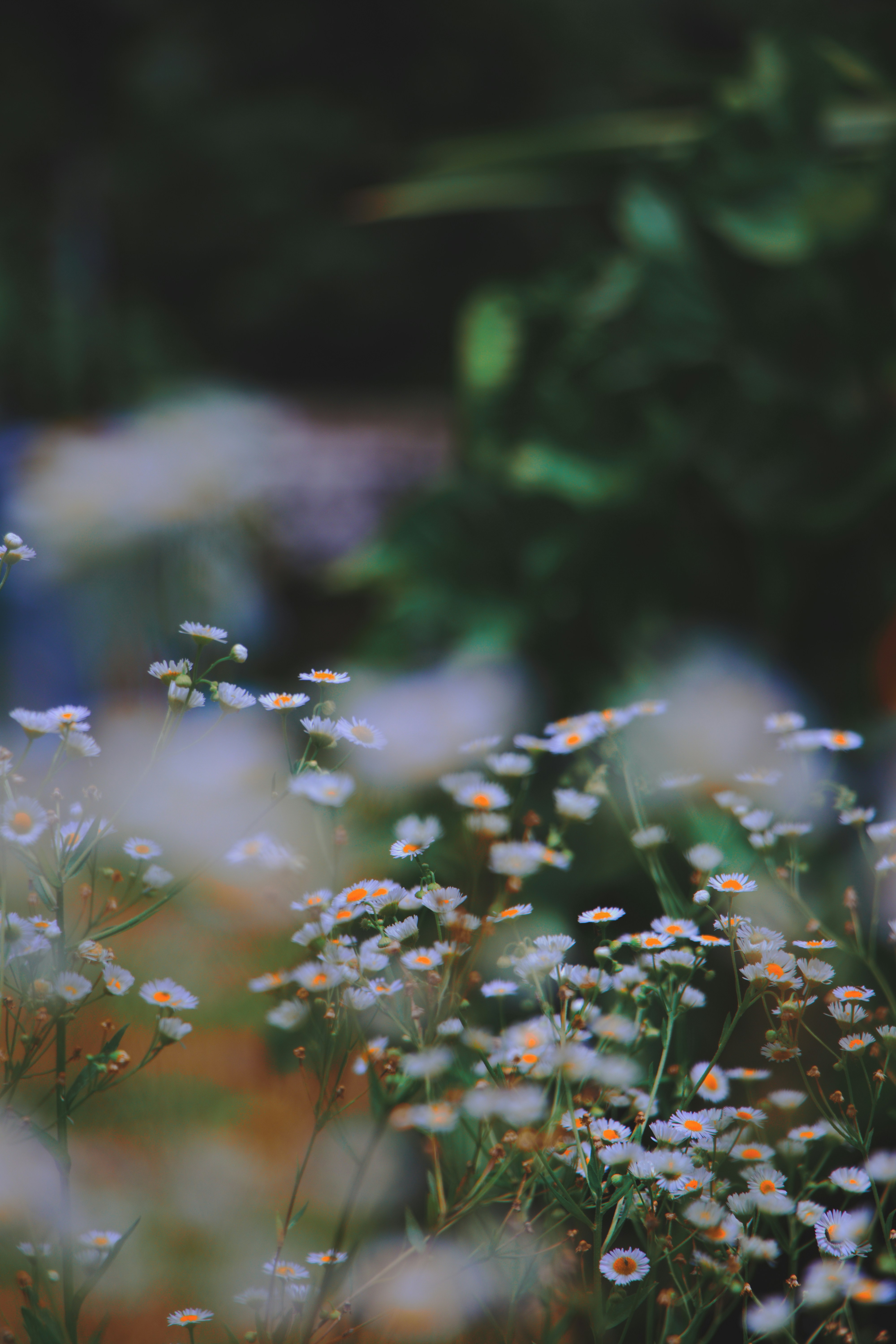 Photo by thaejirapon