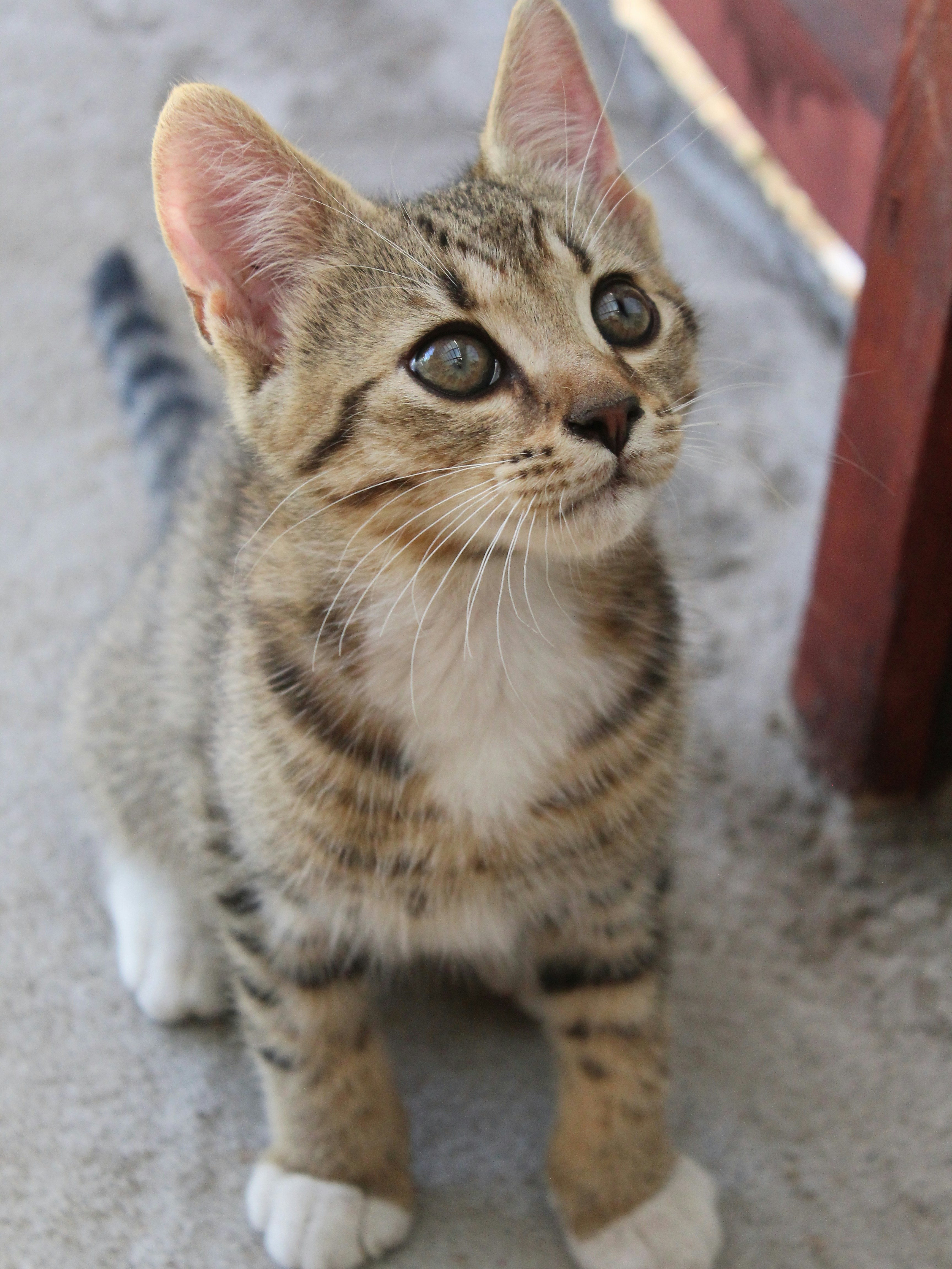 Photo by alexthemaster