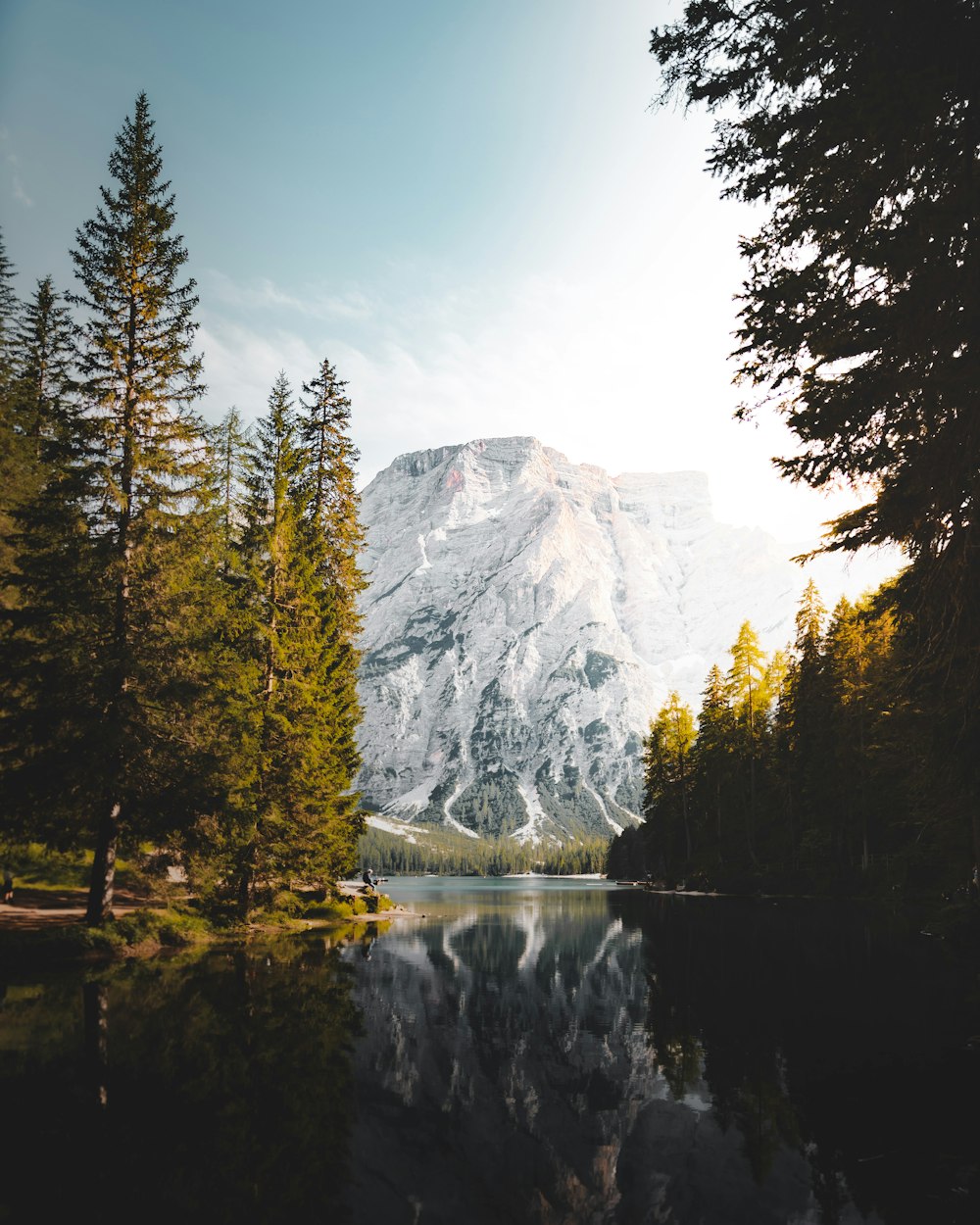 lake with trees on sides