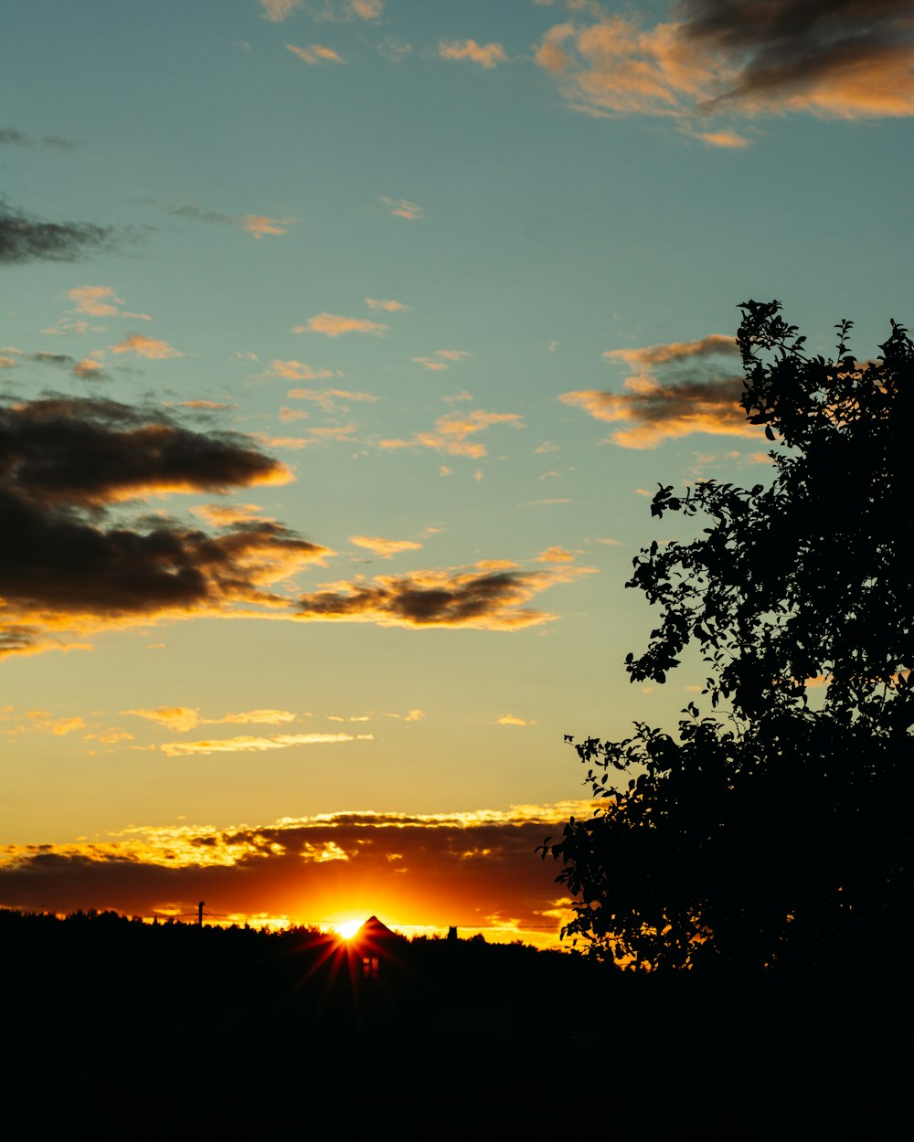 the sun is setting behind a tree in a field