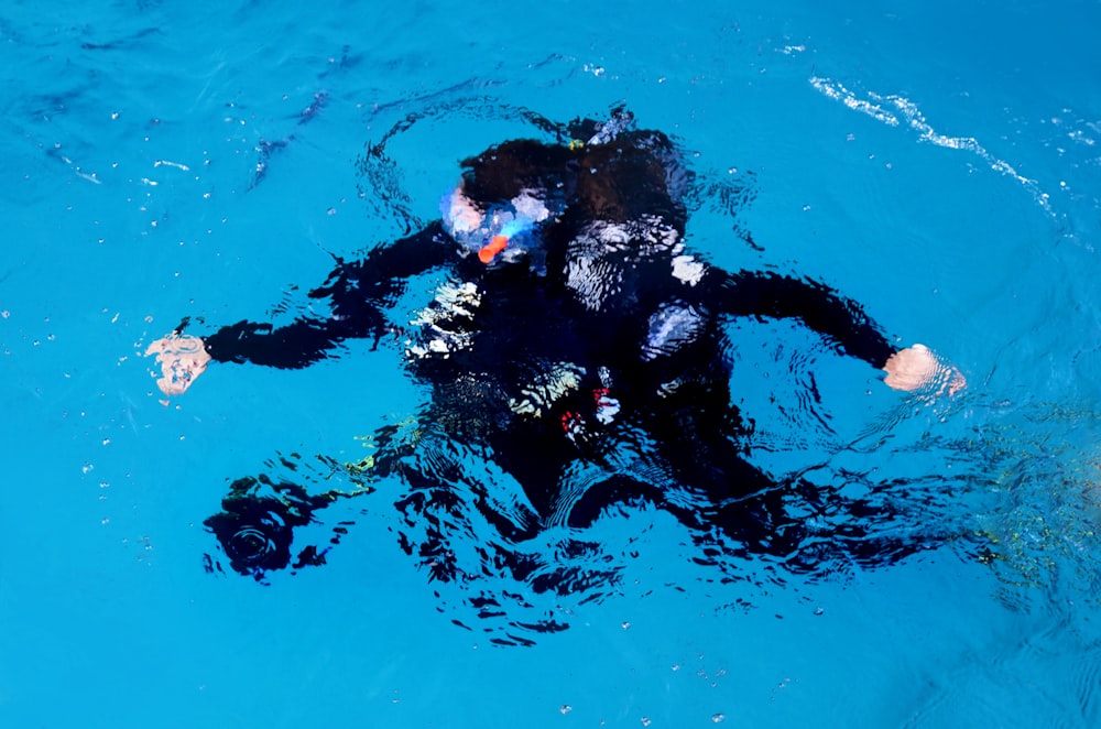 person wearing diving suit in body of water