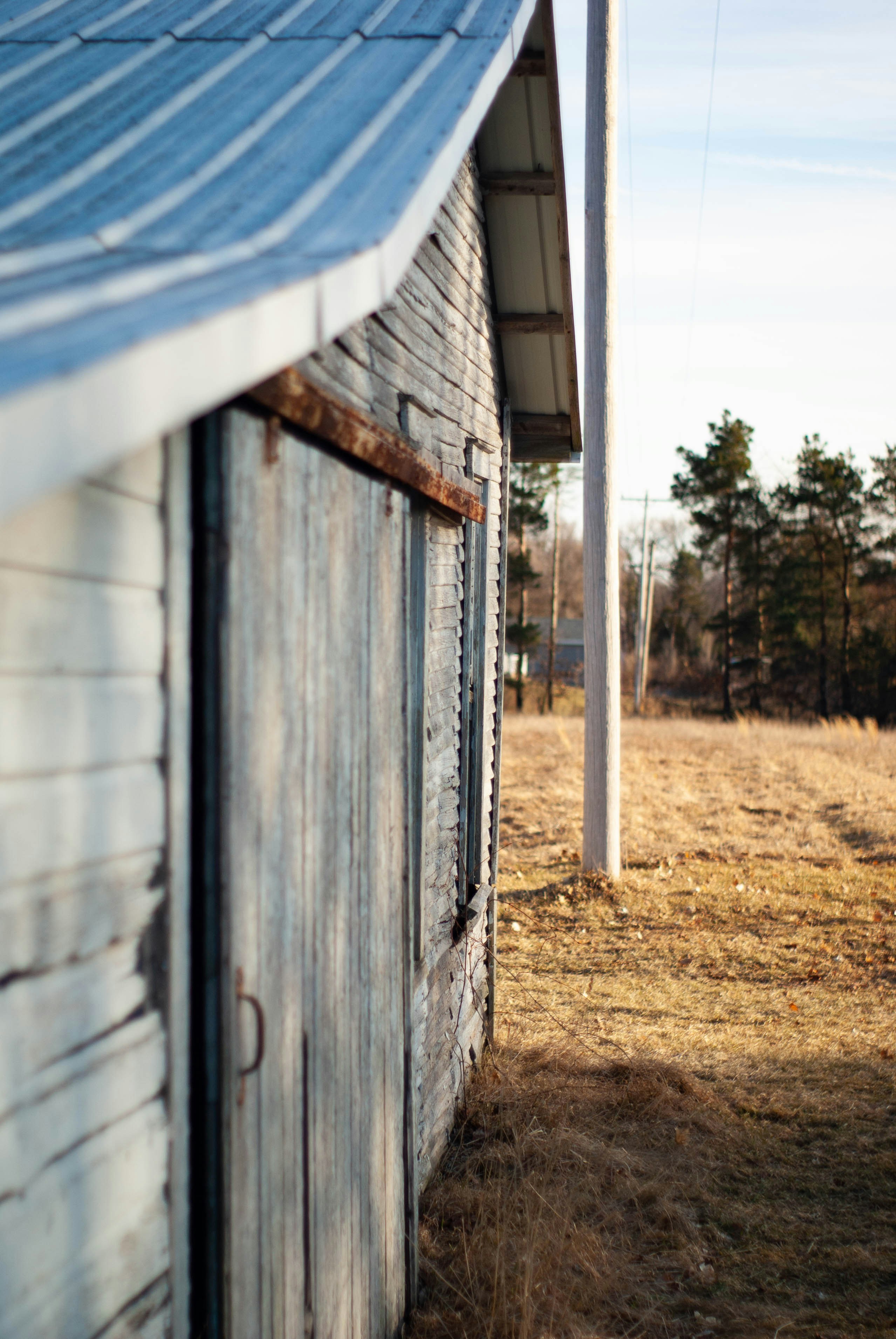 Plaatsen van een moderne tuinberging met groendak.