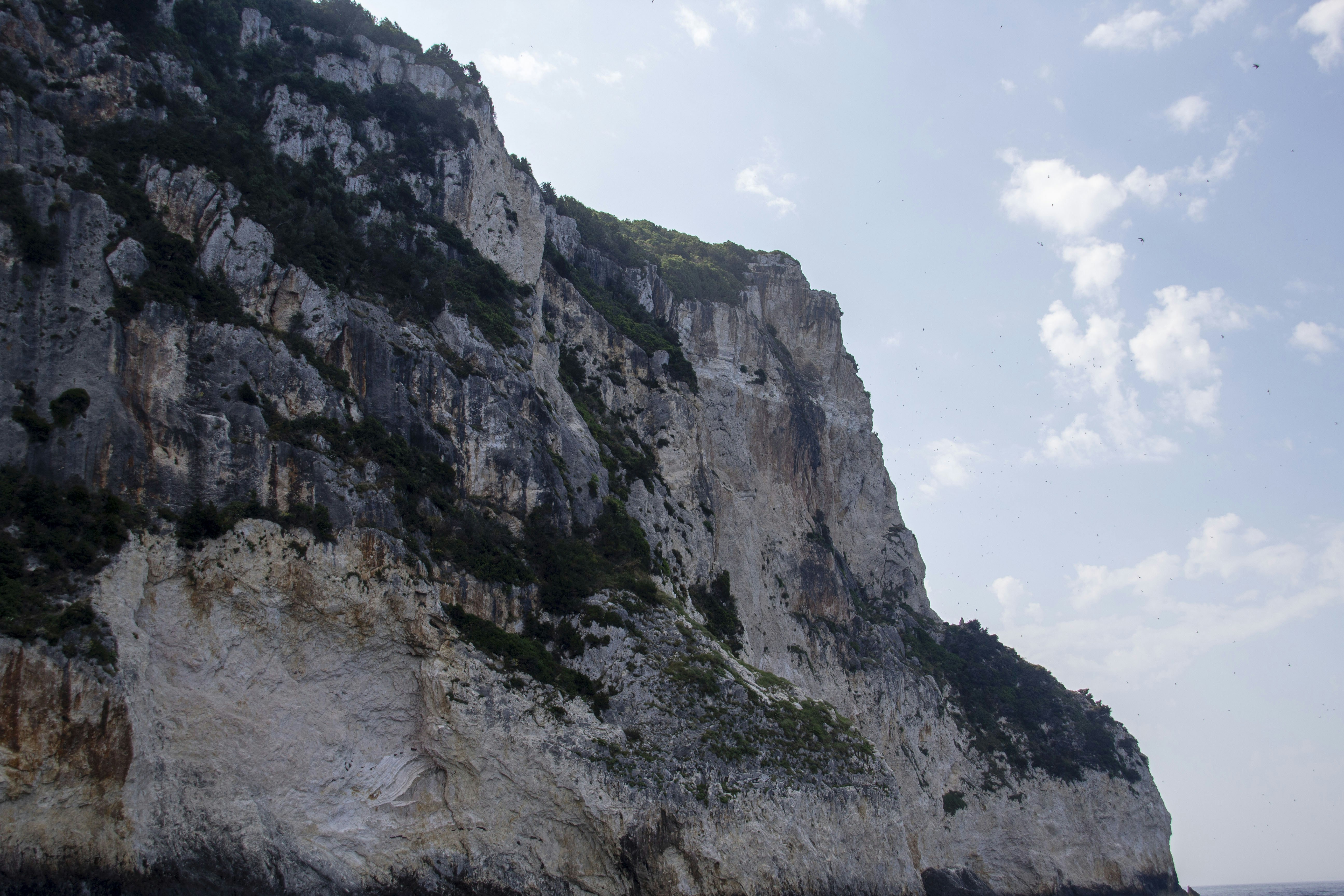 My wish is to stay always like this, living quietly in a corner of nature