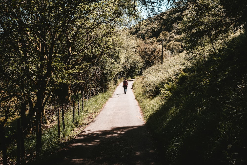 person walking on pathway under trees