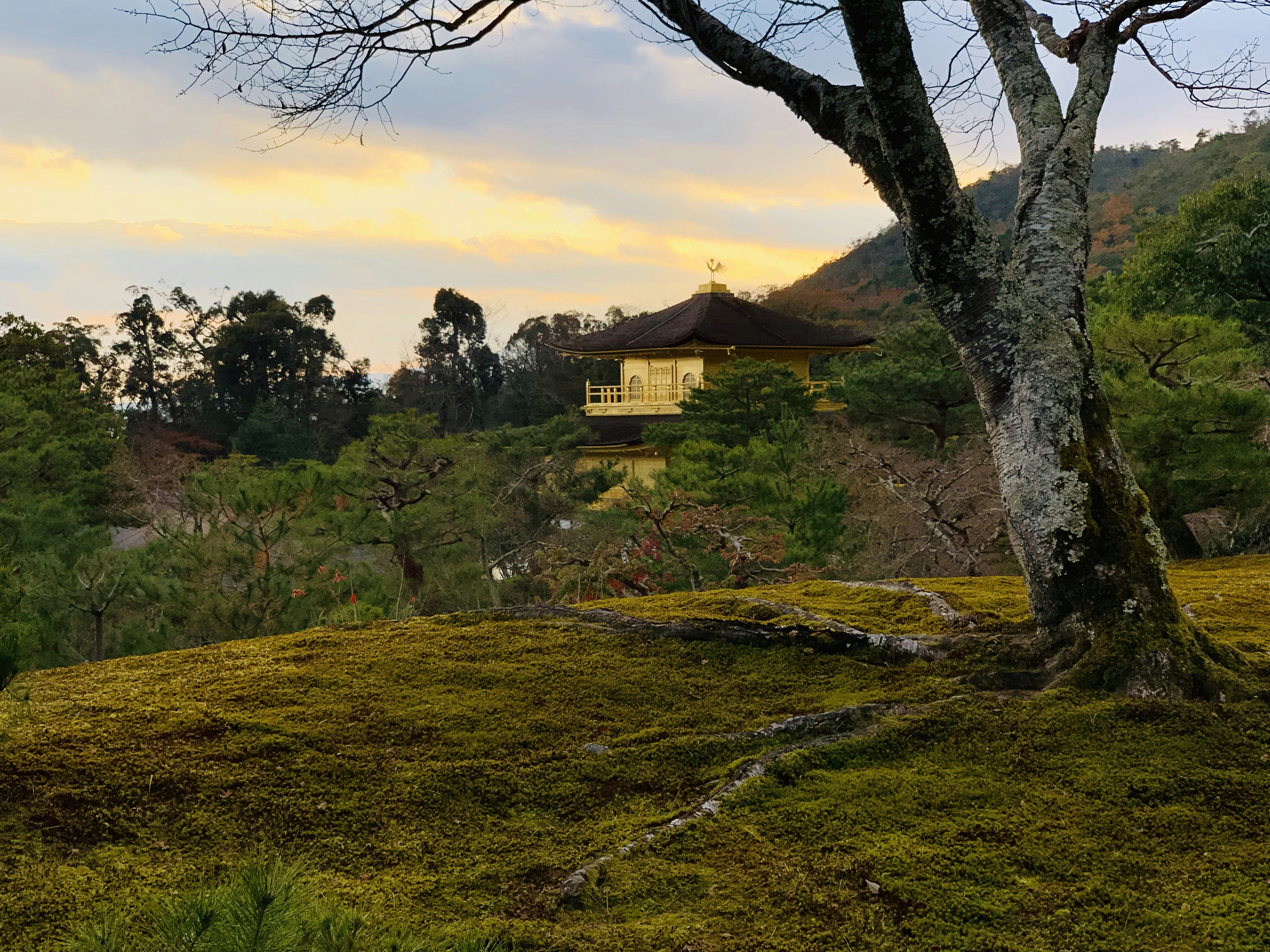 Réservez votre voyage