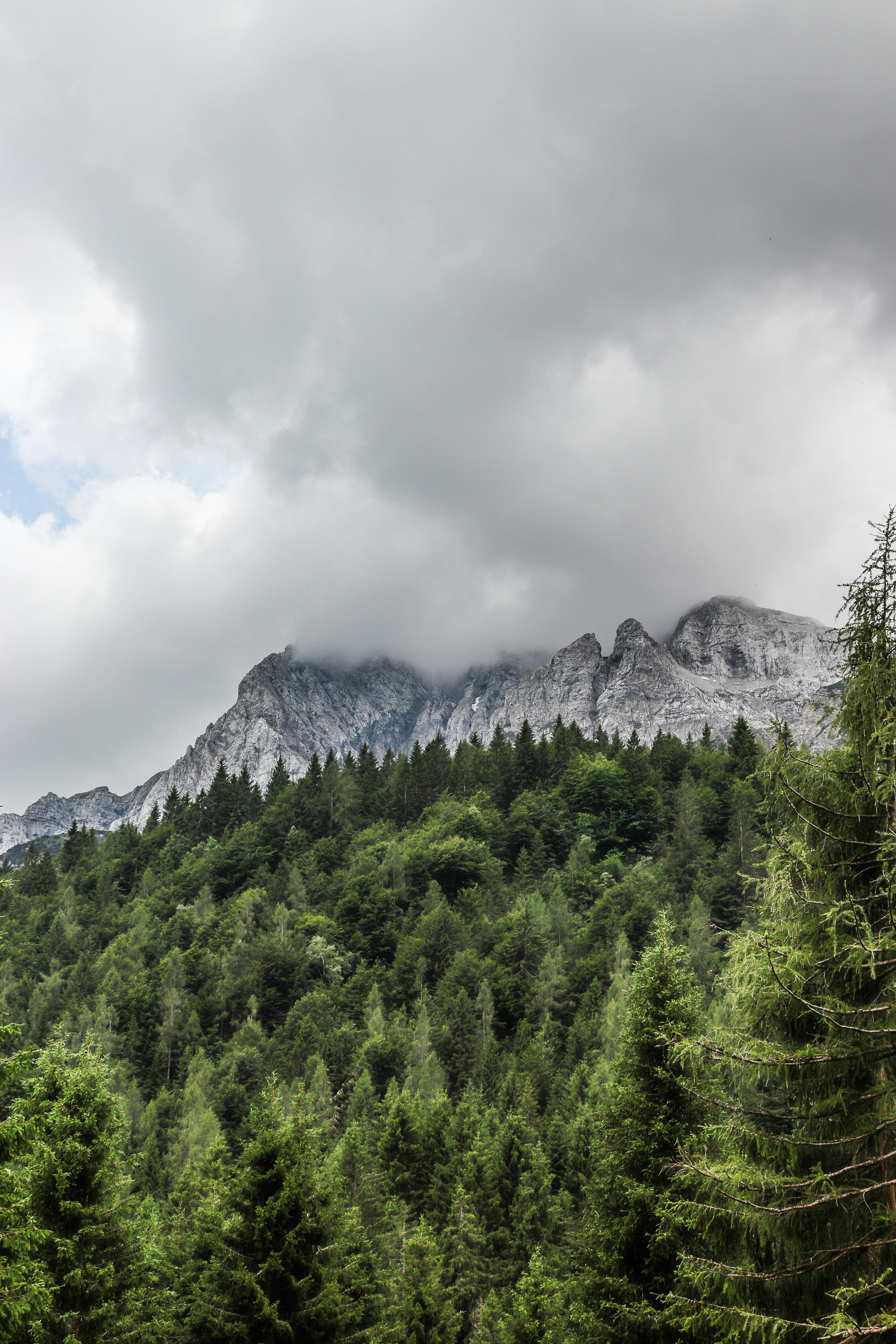 Photo by lunahphotoart