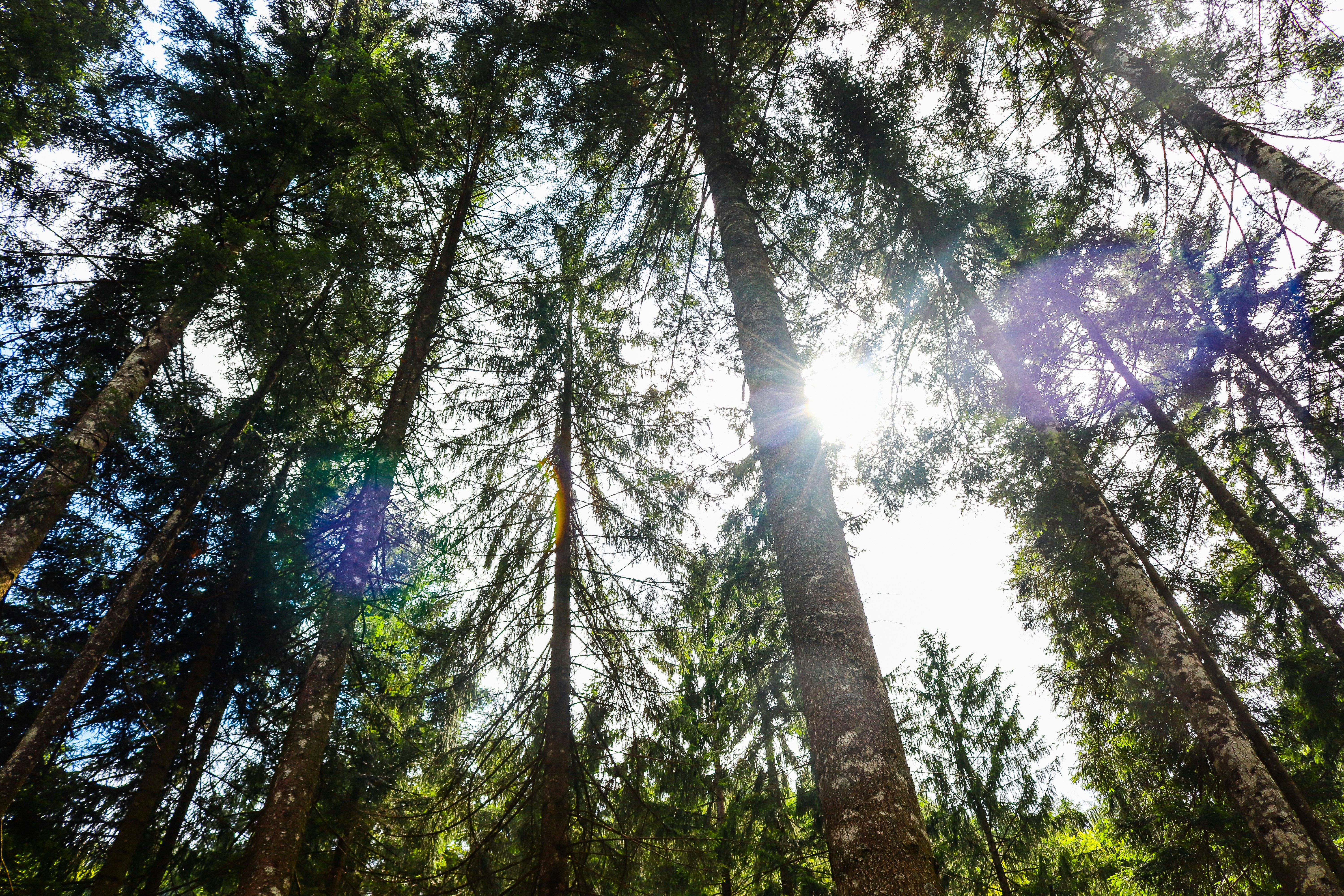 Photo by lunahphotoart