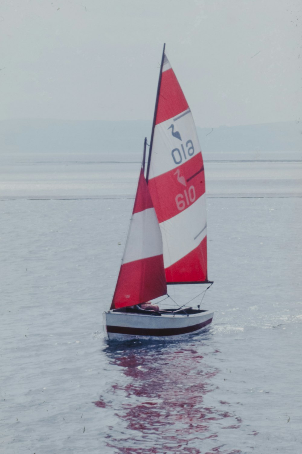 red and white sailboat