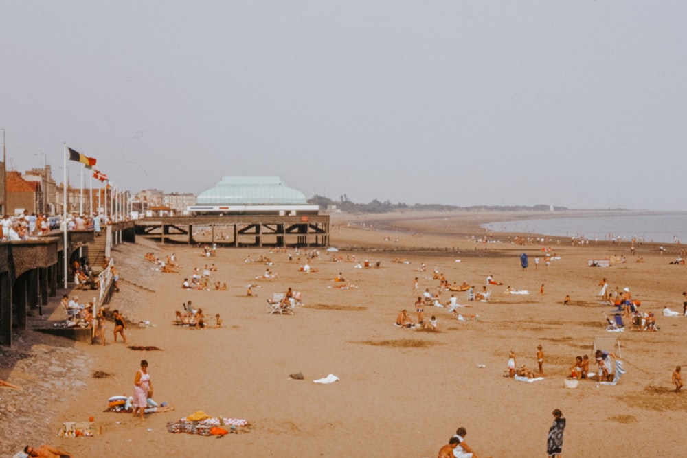 Menschen auf braunem Sand in der Nähe eines Gewässers während des Tages