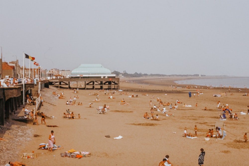 people on brown sand near body of water during daytime