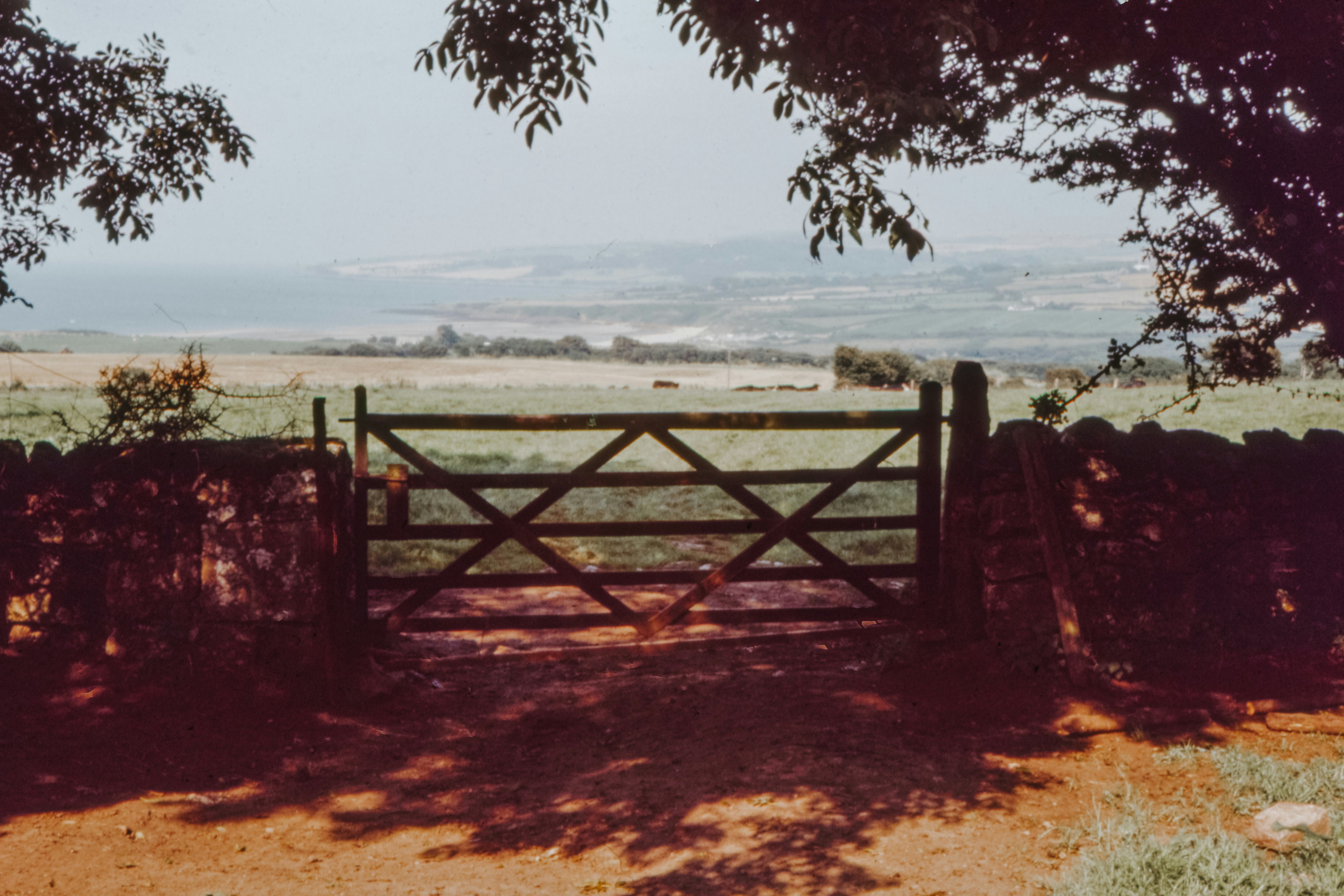 Photo by anniespratt