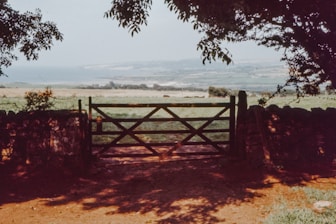 wooden fence in coastal area