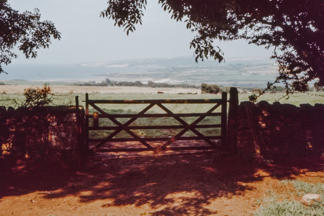 wooden fence in coastal area