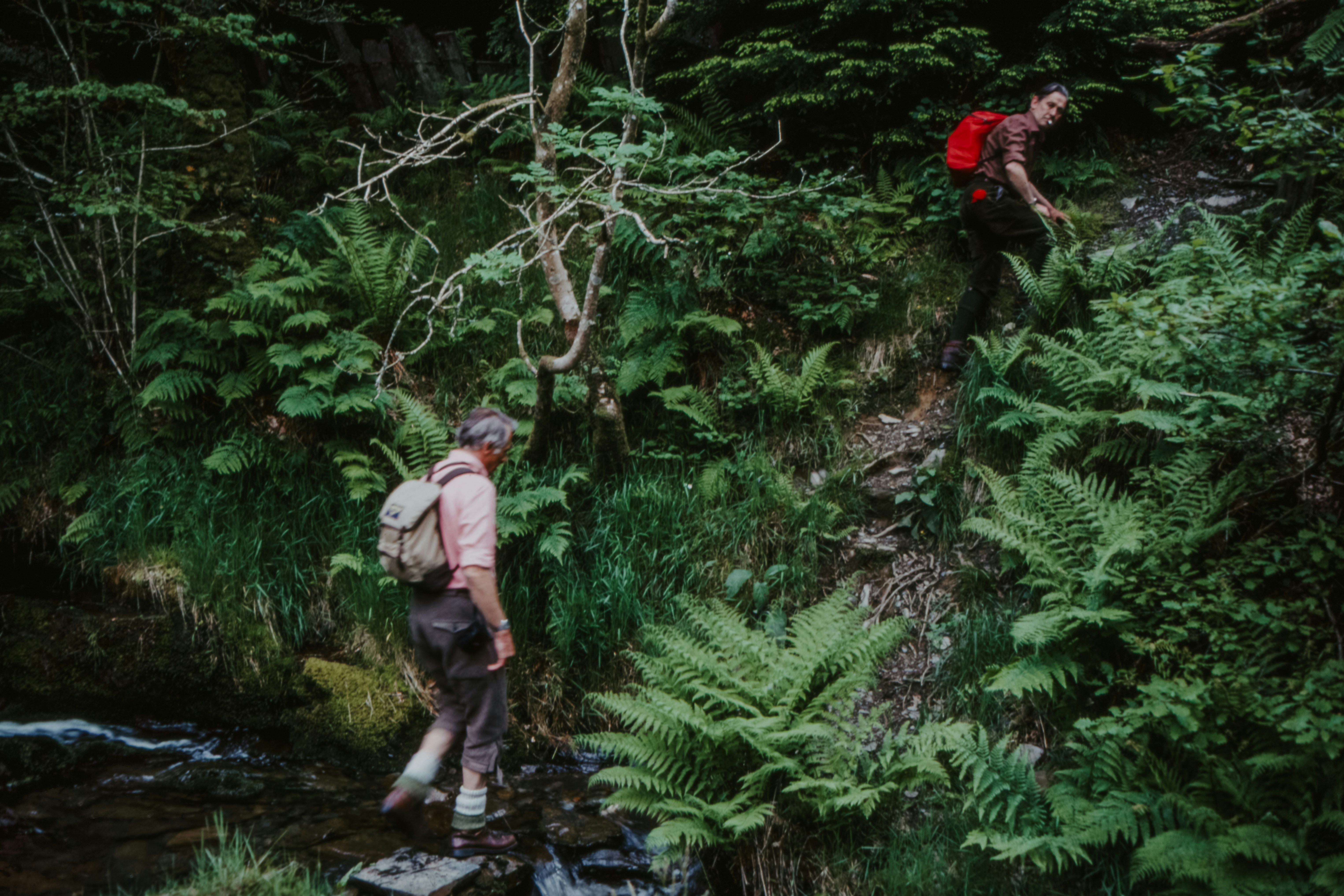 Photo by anniespratt